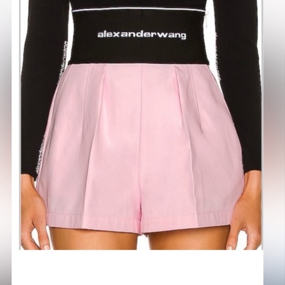 Alexander wang pants
